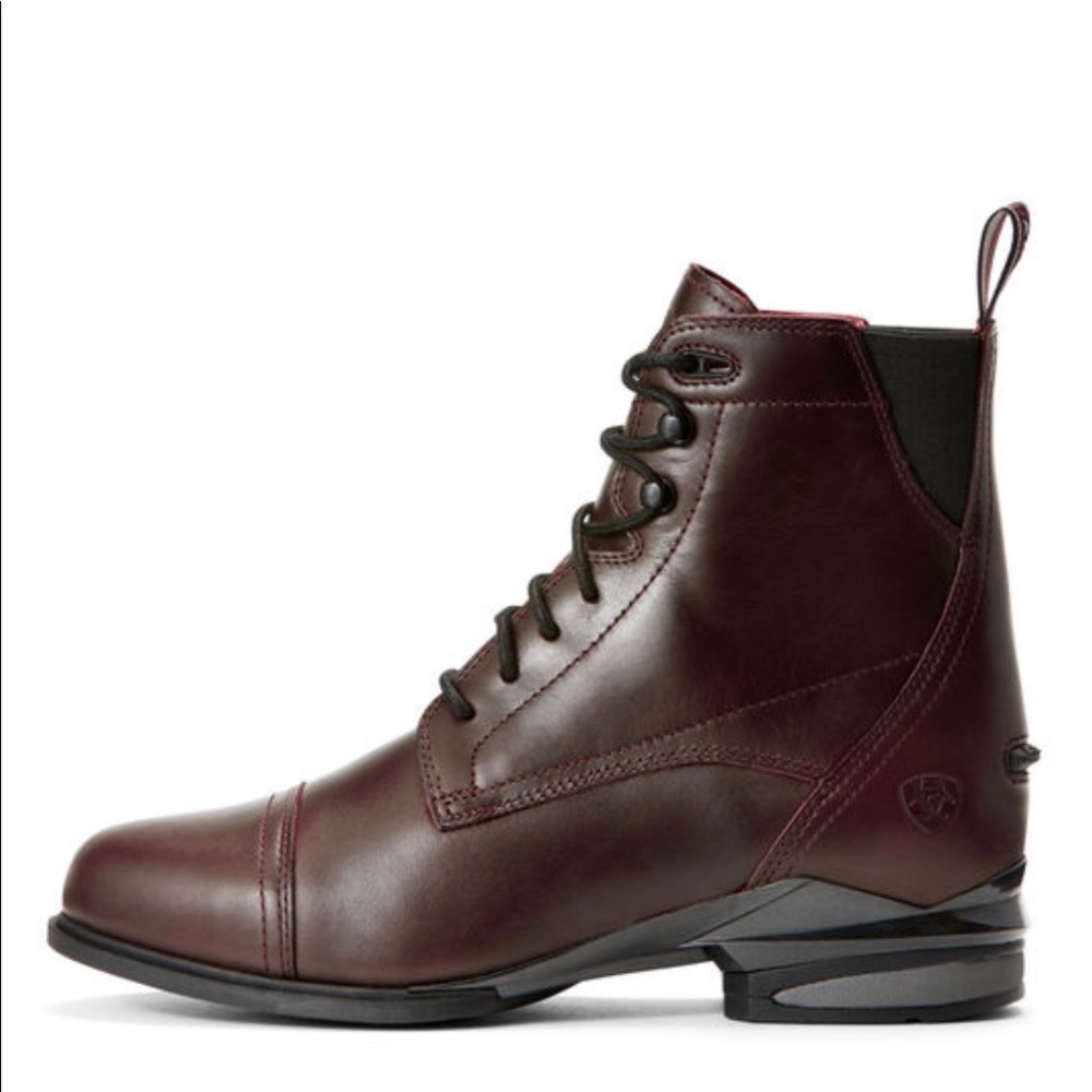 NEW Ariat Nitro brown paddock boots